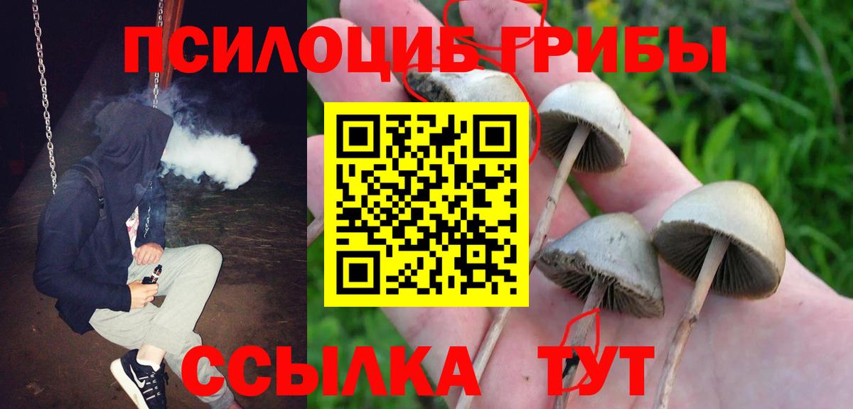 Галлюциногенные грибы Psilocybine cubensis  дарнет шоп  Добрянка  Вход с VPN  Галлюциногенные грибы прущие грибы 